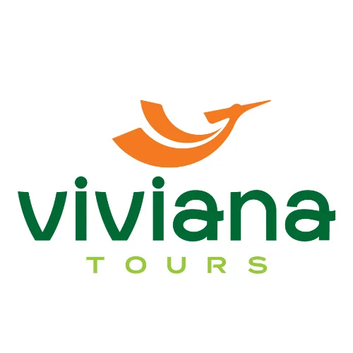 Viviana Tours